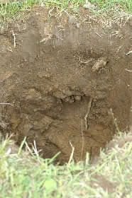 Photo of Site Stratigraphy