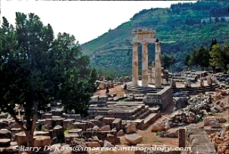Photo: Delphi-ruins and trees