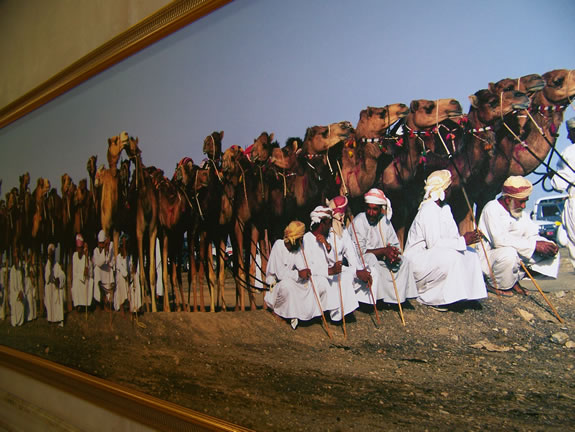 Natives with Camel herd
