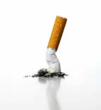 crushed cigarette